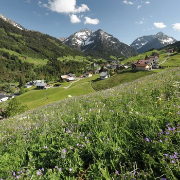 Frühsommer-Online-Buchungs-Special Alpendorf im grünen Bergtal mit Blumenwiese und schneebedeckten Gipfeln